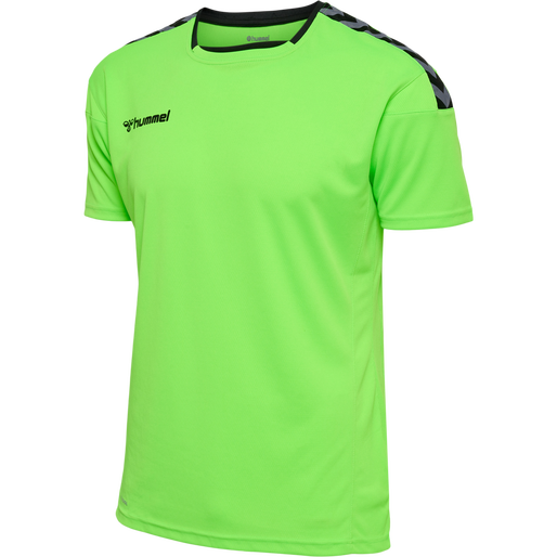 Hummel Authentic Poly Jersey - Green Gecko