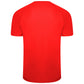 Puma Team Liga Striped Jersey - Red/Black