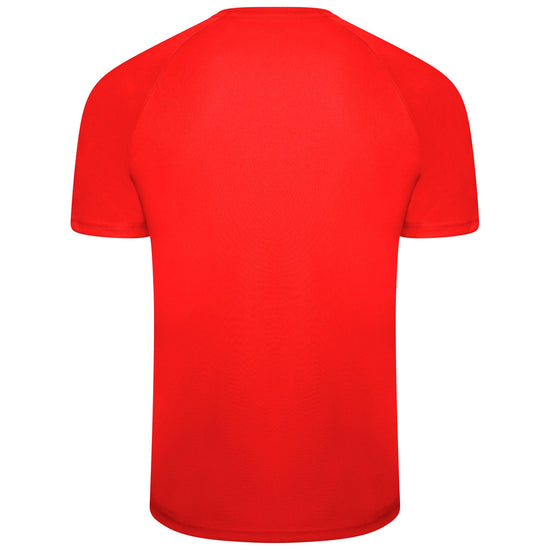 Puma Team Liga Striped Jersey - Red/Black