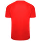 Puma Team Liga Striped Jersey - Red/Black