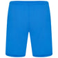 Puma teamLIGA Shorts – Electric Blue/White