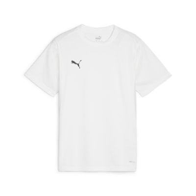 PUMA teamGOAL Jersey - White