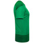 Puma Goal Training Jersey – Pepper Green/Power Green