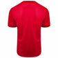 Puma Goal Jersey – Red/Chili Pepper