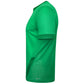 Puma Goal Jersey – Pepper Green/Power Green