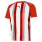Puma TeamLiga Striped Jersey – Red/White
