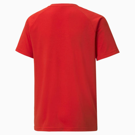 Puma TeamLiga Striped Jersey – Red/White