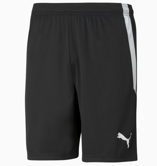 Puma teamLIGA Shorts – Black/White
